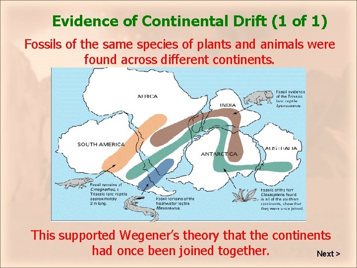 Evidence of Continental Drift (1 of 1) Fossils of the same species of plants