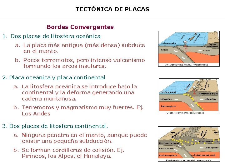 TECTÓNICA DE PLACAS Bordes Convergentes 1. Dos placas de litosfera oceánica a. La placa