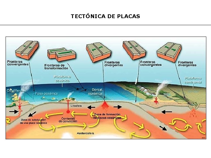 TECTÓNICA DE PLACAS 