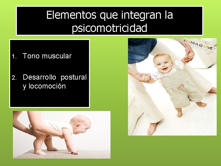 Elementos que integran la psicomotricidad 1. Tono muscular 2. Desarrollo postural y locomoción 