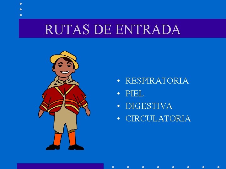 RUTAS DE ENTRADA • • RESPIRATORIA PIEL DIGESTIVA CIRCULATORIA 