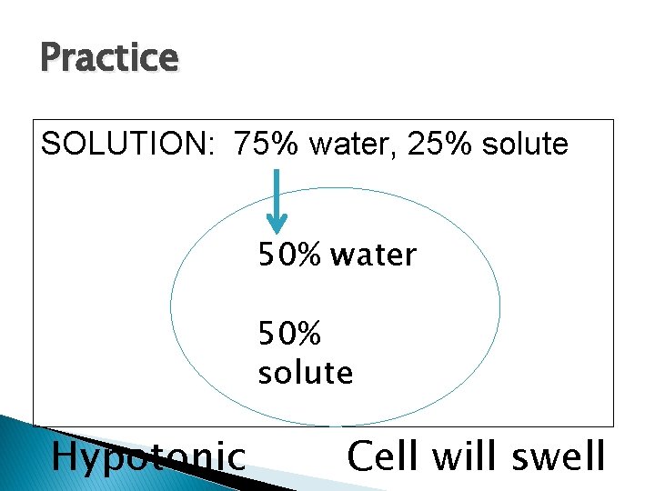 Practice SOLUTION: 75% water, 25% solute 50% water 50% solute Hypotonic Cell will swell