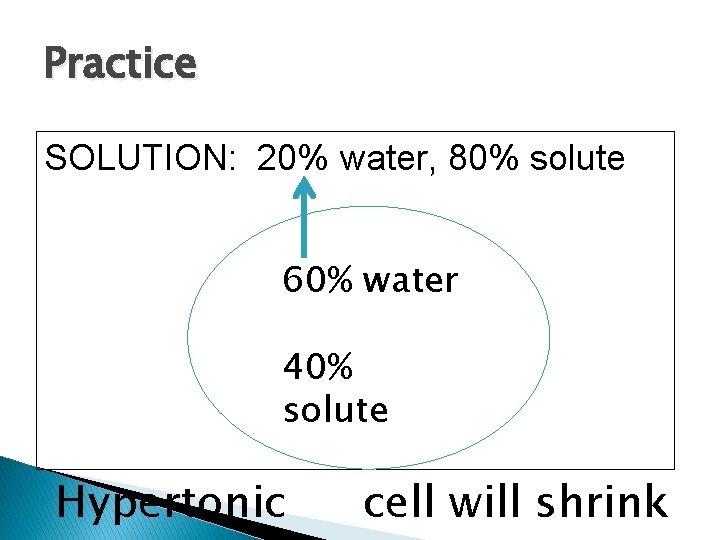 Practice SOLUTION: 20% water, 80% solute 60% water 40% solute Hypertonic cell will shrink
