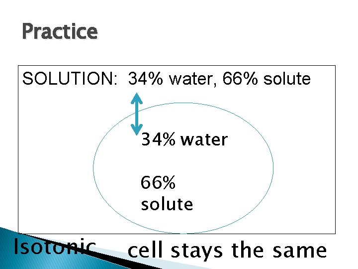 Practice SOLUTION: 34% water, 66% solute 34% water 66% solute Isotonic cell stays the