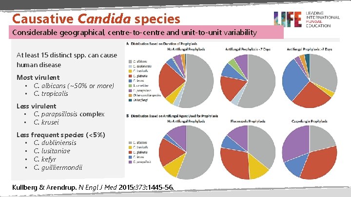 Causative Candida species Considerable geographical, centre-to-centre and unit-to-unit variability At least 15 distinct spp.