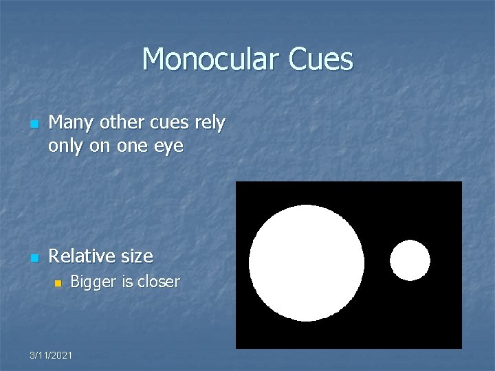 Monocular Cues n n Many other cues rely on one eye Relative size n