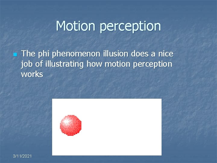 Motion perception n The phi phenomenon illusion does a nice job of illustrating how