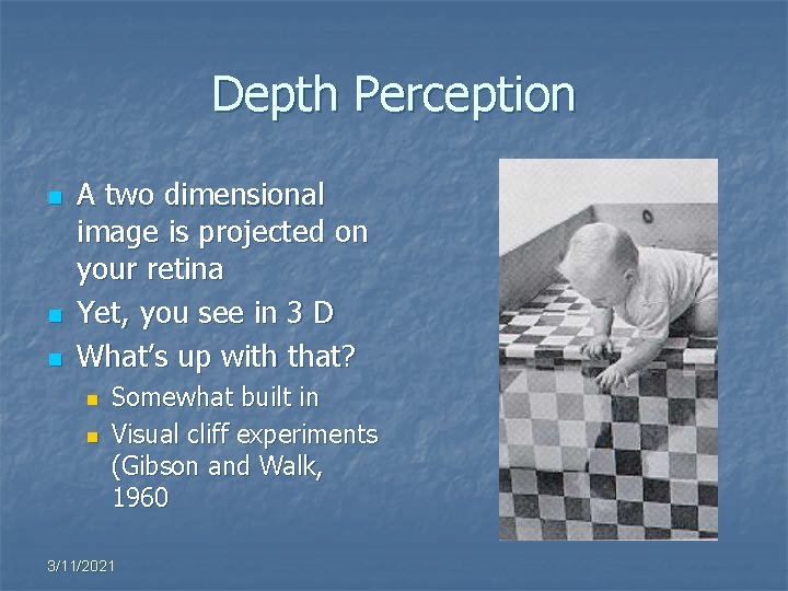 Depth Perception n A two dimensional image is projected on your retina Yet, you