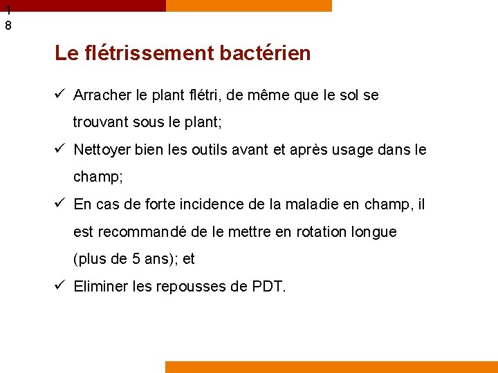 1 8 Le flétrissement bactérien ü Arracher le plant flétri, de même que le