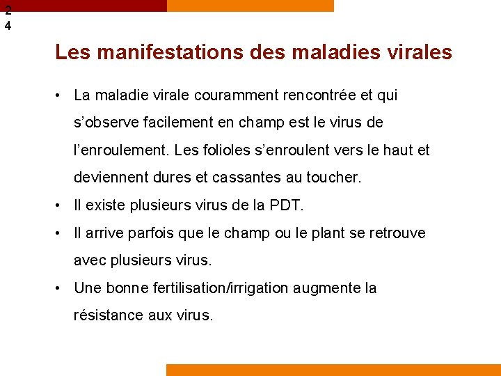 2 4 Les manifestations des maladies virales • La maladie virale couramment rencontrée et