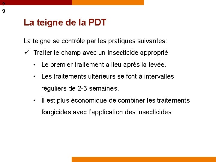 2 9 La teigne de la PDT La teigne se contrôle par les pratiques