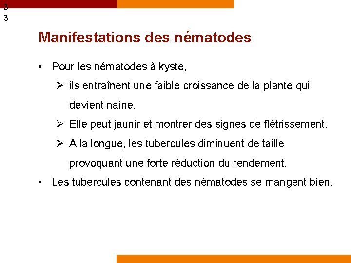 3 3 Manifestations des nématodes • Pour les nématodes à kyste, Ø ils entraînent