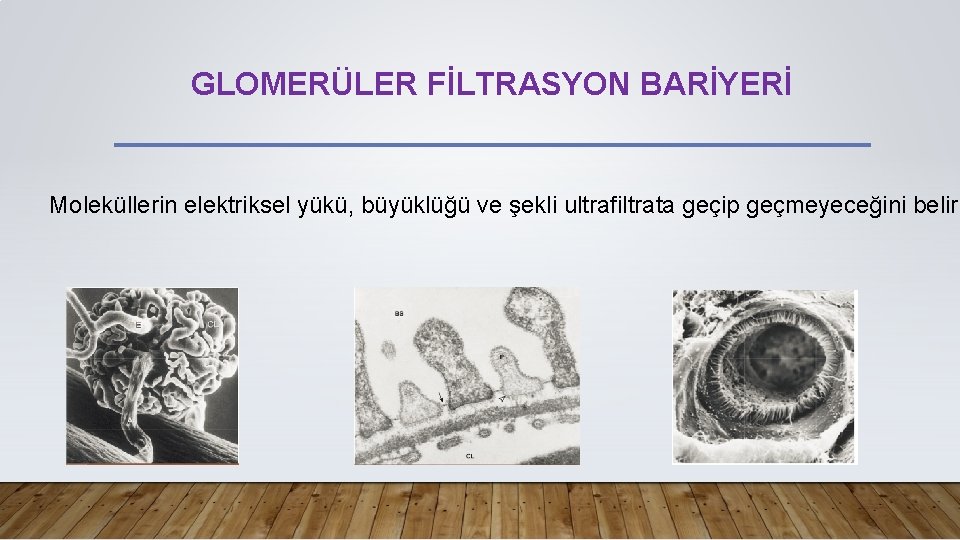 GLOMERÜLER FİLTRASYON BARİYERİ Moleküllerin elektriksel yükü, büyüklüğü ve şekli ultrafiltrata geçip geçmeyeceğini belirl 