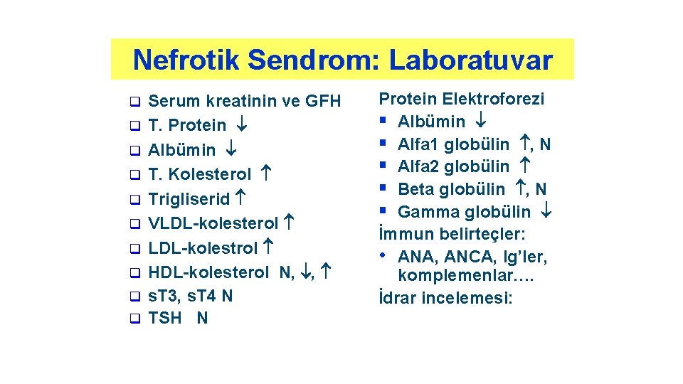 Nefrotik Sendrom: Laboratuvar q q q q q Serum kreatinin ve GFH T. Protein