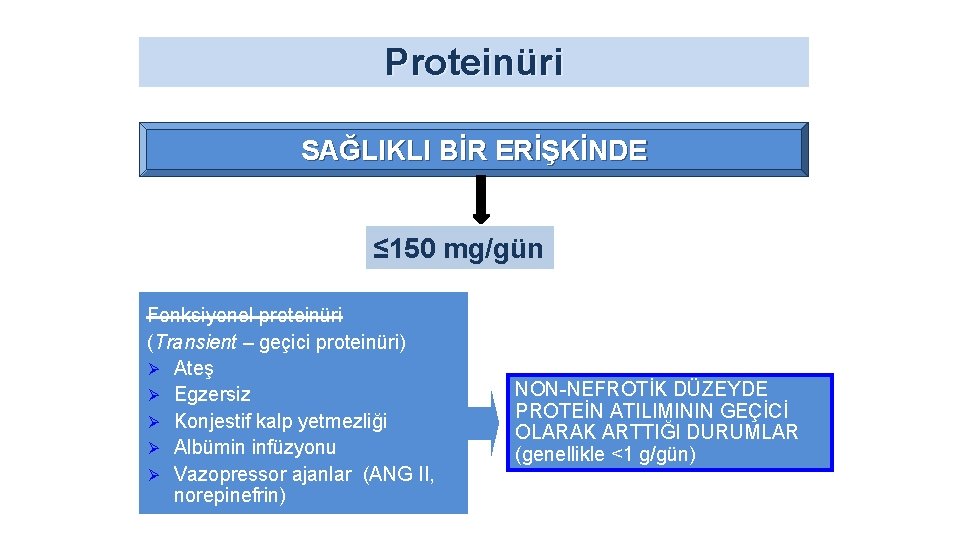 Proteinüri SAĞLIKLI BİR ERİŞKİNDE ≤ 150 mg/gün Fonksiyonel proteinüri (Transient – geçici proteinüri) Ø