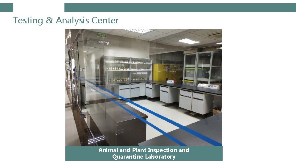 Testing & Analysis Center Animal and Plant Inspection and Quarantine Laboratory 