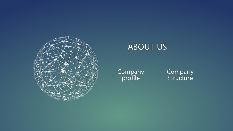 ABOUT US Company profile Company Structure 