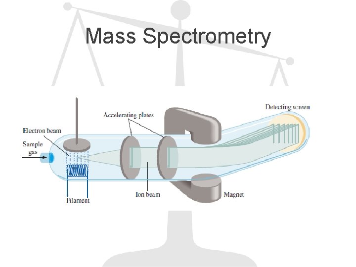 Mass Spectrometry 