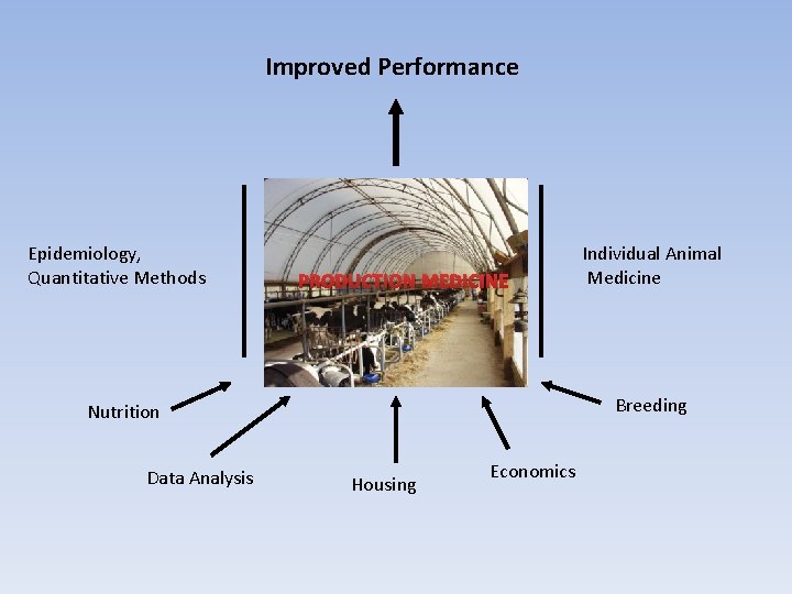 Improved Performance Epidemiology, Quantitative Methods PRODUCTION MEDICINE Breeding Nutrition Data Analysis Individual Animal Medicine