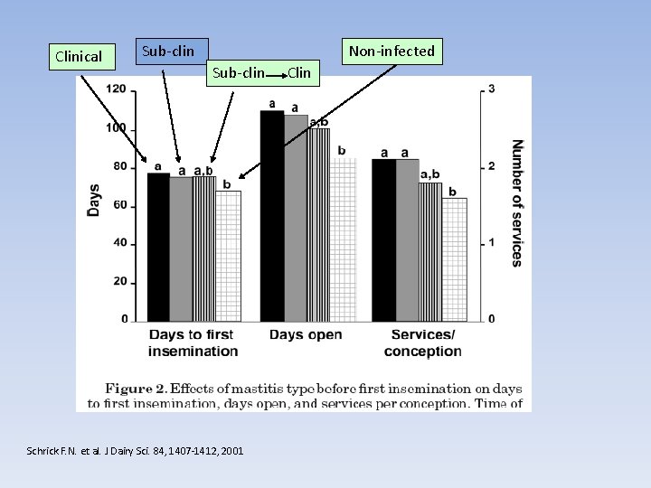 Clinical Sub-clin Non-infected Sub-clin Clin Schrick F. N. et al. J Dairy Sci. 84,