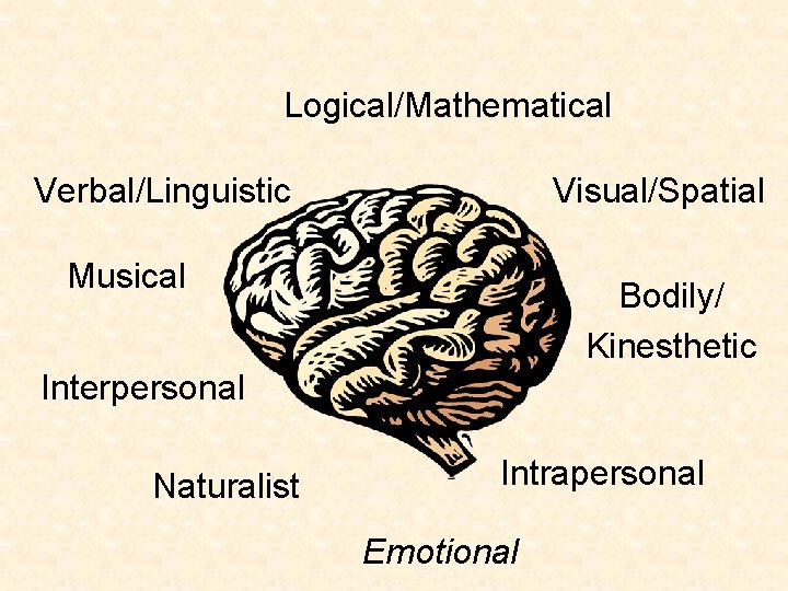 Logical/Mathematical Verbal/Linguistic Visual/Spatial Musical Bodily/ Kinesthetic Interpersonal Naturalist Intrapersonal Emotional 