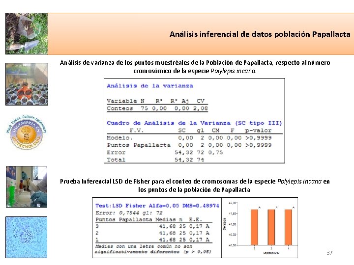 Análisis inferencial de datos población Papallacta Análisis de varianza de los puntos muestréales de