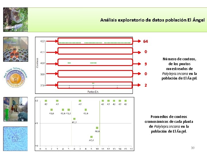 Análisis exploratorio de datos población El Ángel 64 0 9 0 Número de conteos,