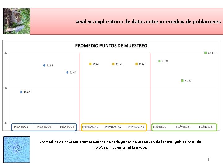 Análisis exploratorio de datos entre promedios de poblaciones Promedios de conteos cromosómicos de cada