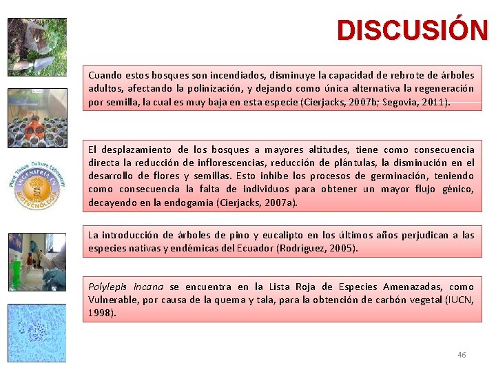 DISCUSIÓN Cuando estos bosques son incendiados, disminuye la capacidad de rebrote de árboles adultos,