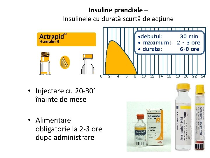 Insuline prandiale – Insulinele cu durată scurtă de acțiune Actrapid® • debutul: • maximum: