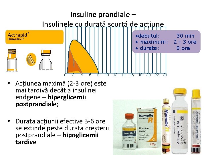 Insuline prandiale – Insulinele cu durată scurtă de acțiune Actrapid® • debutul: • maximum: