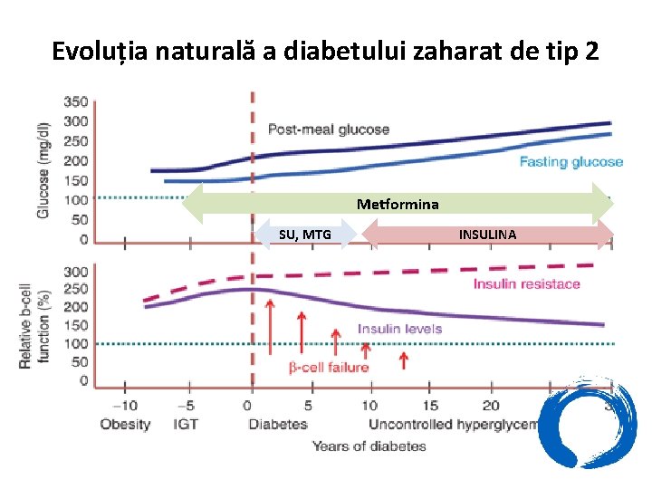 Evoluția naturală a diabetului zaharat de tip 2 Metformina SU, MTG INSULINA 