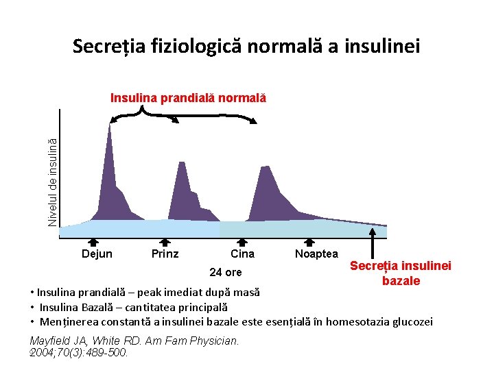 Secreția fiziologică normală a insulinei Nivelul de insulină Insulina prandială normală Dejun Prinz Cina