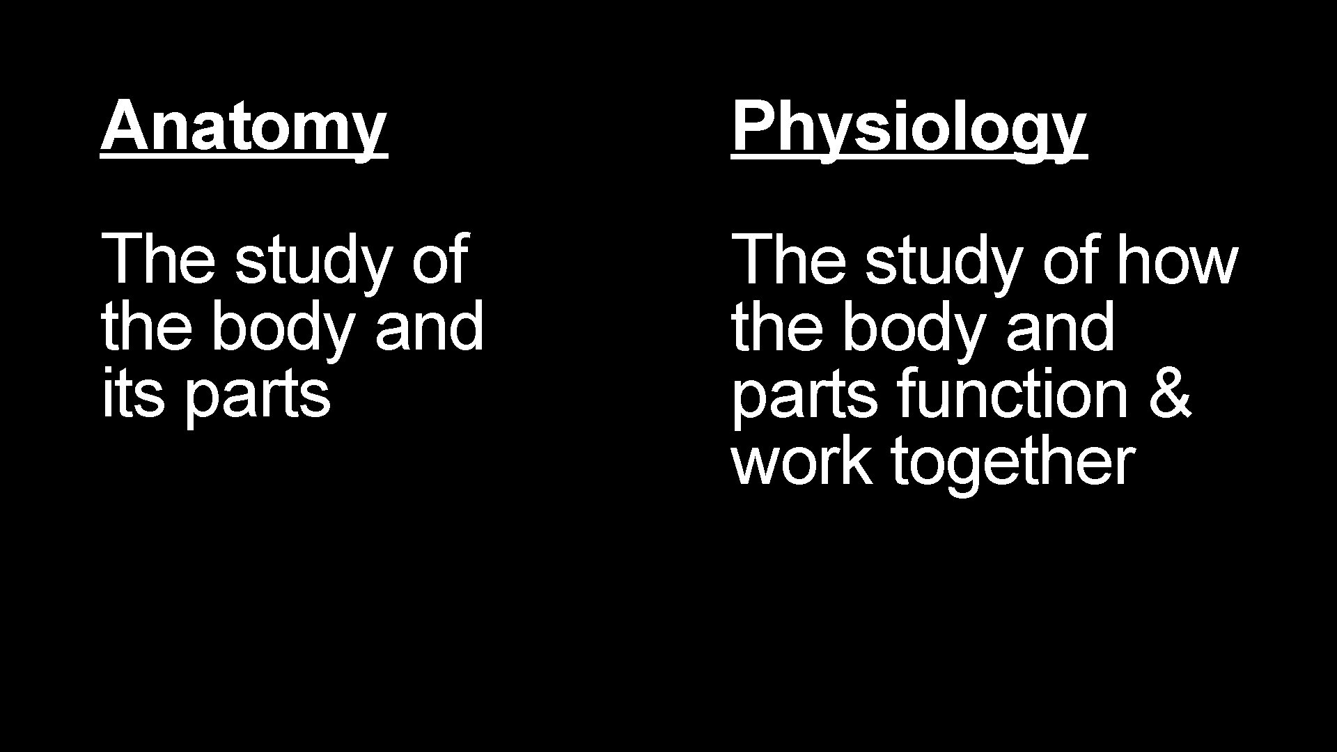 Anatomy Physiology The study of the body and its parts The study of how