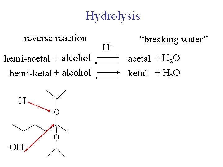 Hydrolysis reverse reaction hemi-acetal + alcohol hemi-ketal + alcohol H OH H+ “breaking water”