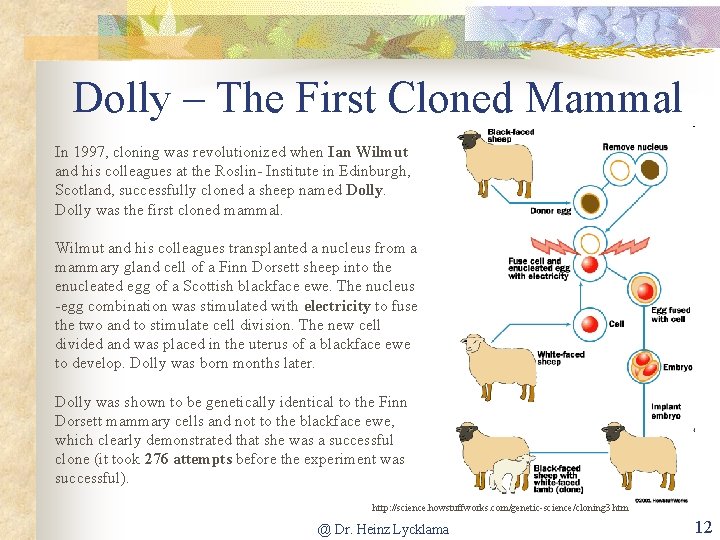 Dolly – The First Cloned Mammal In 1997, cloning was revolutionized when Ian Wilmut