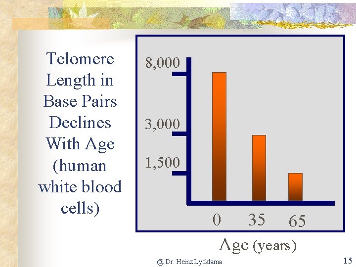 Telomere Length in Base Pairs Declines With Age (human white blood cells) 8, 000