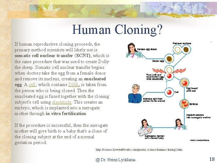 Human Cloning? If human reproductive cloning proceeds, the primary method scientists will likely use