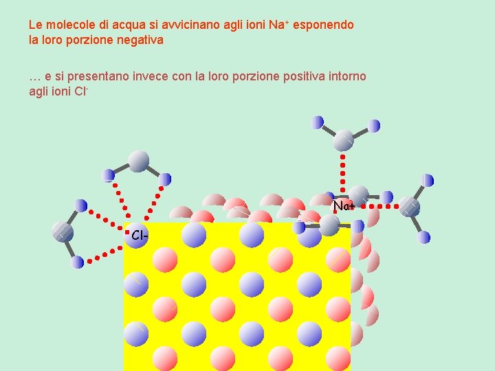Le molecole di acqua si avvicinano agli ioni Na+ esponendo la loro porzione negativa