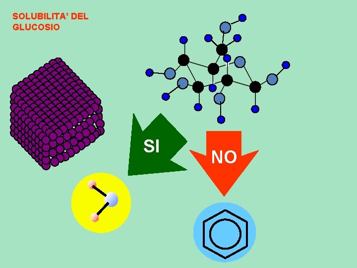 SOLUBILITA’ DEL GLUCOSIO SI NO 