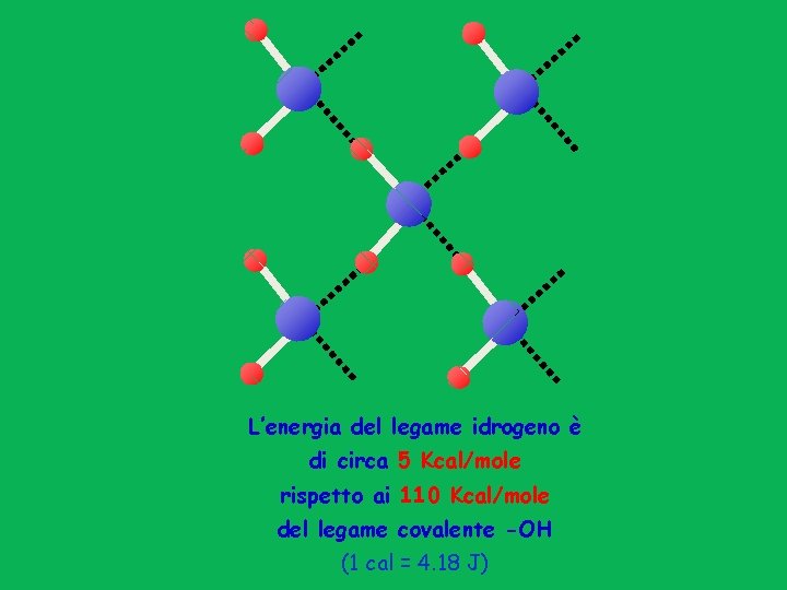 L’energia del legame idrogeno è di circa 5 Kcal/mole rispetto ai 110 Kcal/mole del