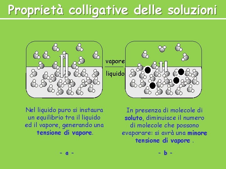 Proprietà colligative delle soluzioni vapore liquido Nel liquido puro si instaura un equilibrio tra