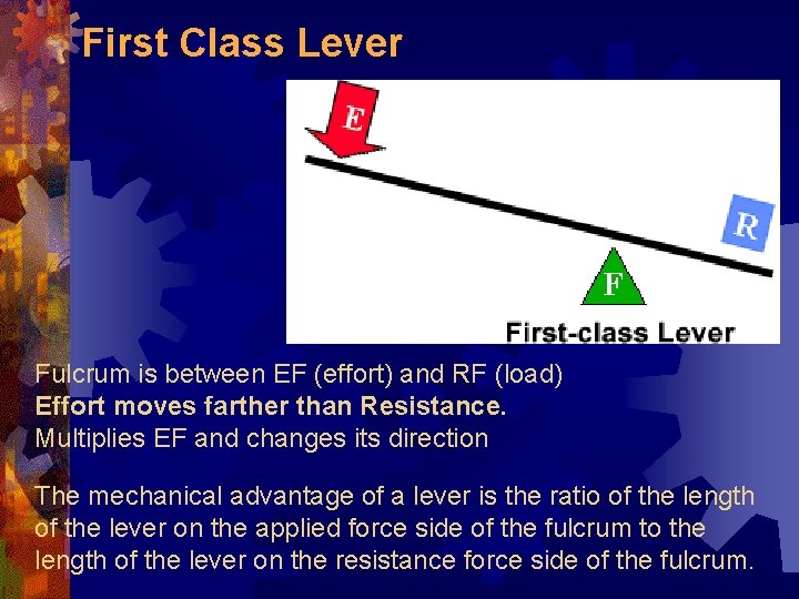 First Class Lever Fulcrum is between EF (effort) and RF (load) Effort moves farther First Class Lever Fulcrum is between EF (effort) and RF (load) Effort moves farther