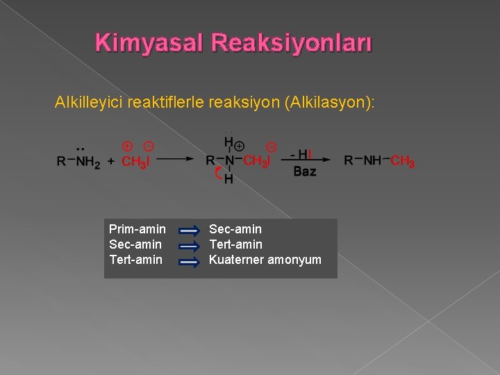 Kimyasal Reaksiyonları Alkilleyici reaktiflerle reaksiyon (Alkilasyon): Prim-amin Sec-amin Tert-amin Kuaterner amonyum 