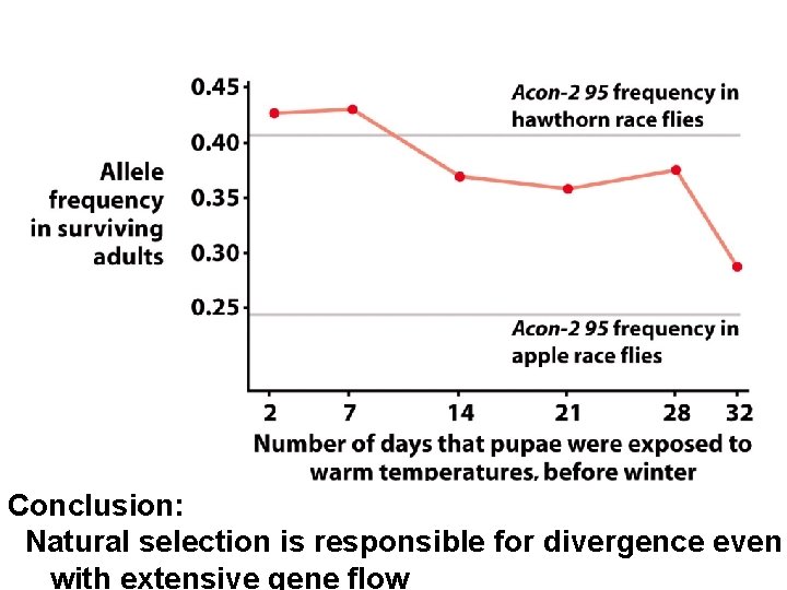 Conclusion: Natural selection is responsible for divergence even with extensive gene flow 