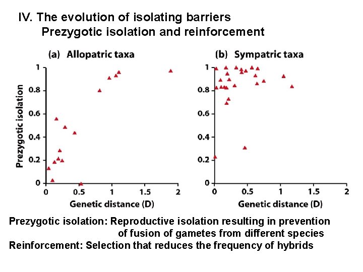 IV. The evolution of isolating barriers Prezygotic isolation and reinforcement Prezygotic isolation: Reproductive isolation