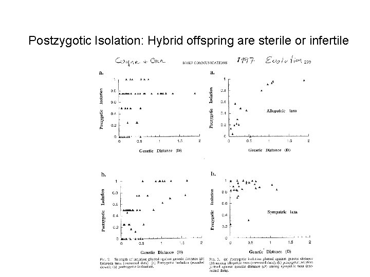 Postzygotic Isolation: Hybrid offspring are sterile or infertile 