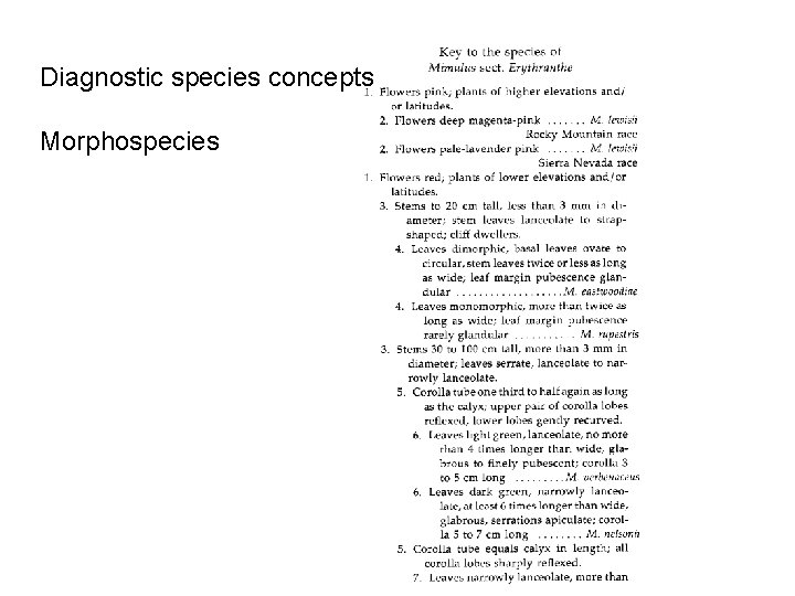 Diagnostic species concepts Morphospecies 