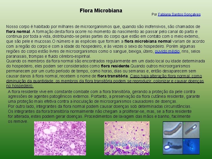 Flora Microbiana Por Fabiana Santos Gonçalves Nosso corpo é habitado por milhares de microorganismos