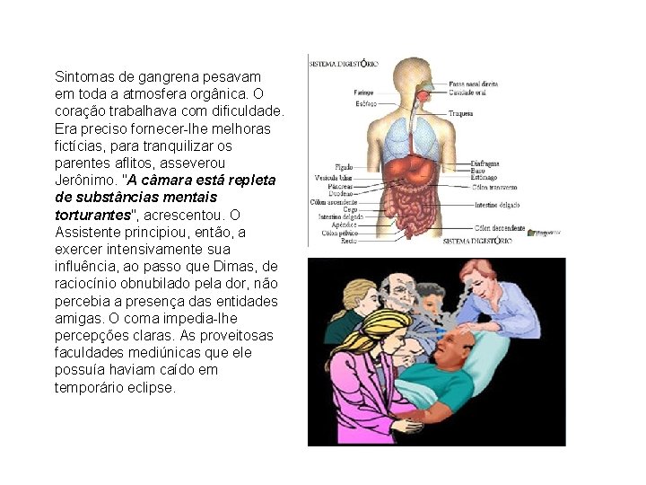 Sintomas de gangrena pesavam em toda a atmosfera orgânica. O coração trabalhava com dificuldade.